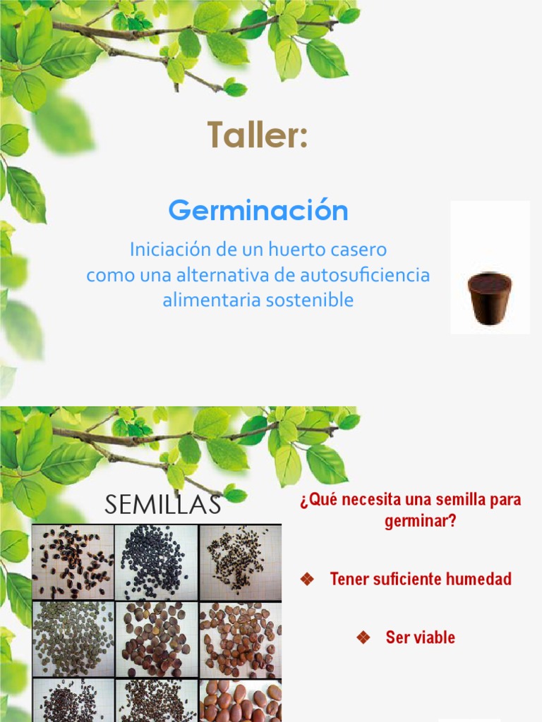 Las Semillas, La Semillas, La - Germinacion | PDF | Germinación ...