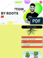 One Shot - Absorption by Roots