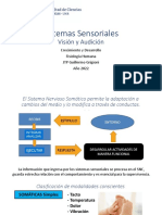 CyD - 11 - Visión y Audición - Grigioni 2022