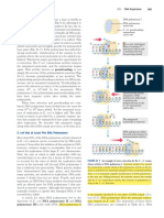 Lehninger 4th Edition RDT Polymerases Info