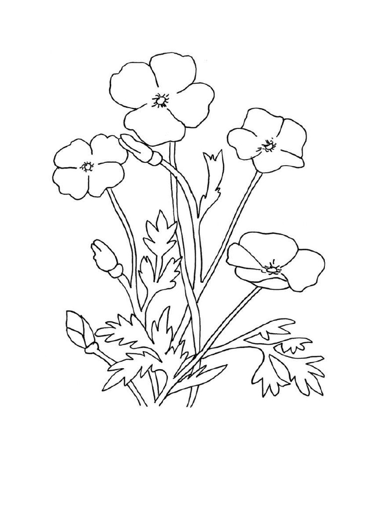Fleur | PDF
