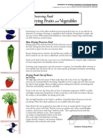 Preserving Food Drying Fruits and Vegetables