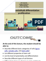 Final Cell Proliferation Differentiation in