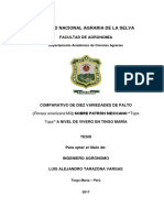 Tesis - Comparativo de Diez Variedades de Palto Sobre Patron Mexicano Topa Topa A Nivel de Vivero en Tingo Maria