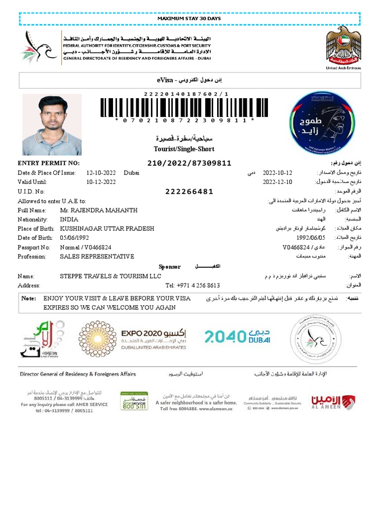 E Visa | PDF