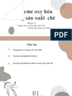 Nhóm 12 Enzym Polyphenoloxydase Nga Hiếu