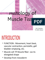 Muscle Tissue - Wo Audio