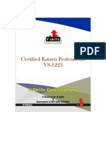 Vs 1223 Certified Kaizen Professional Sample Material