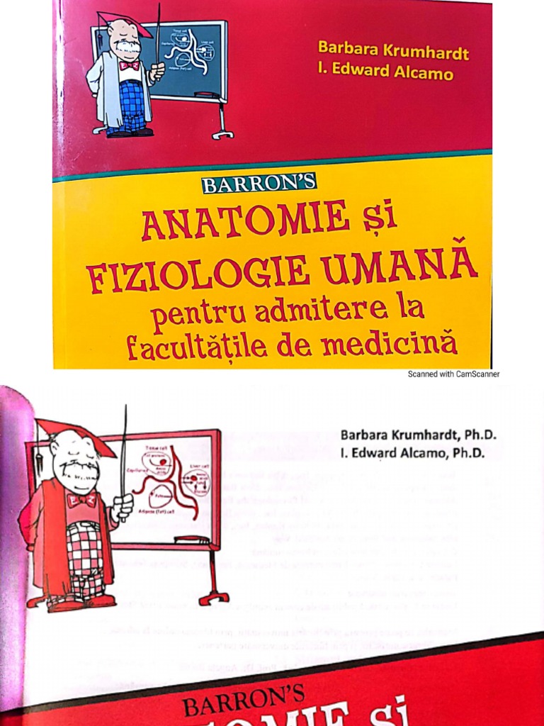 Mappa dei contenuti del sito | Schemi di Anatomia Umana