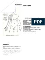 Muscles de Meridiens