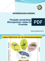 Eucariota y Procariota