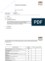 INFORME Paredes Issa