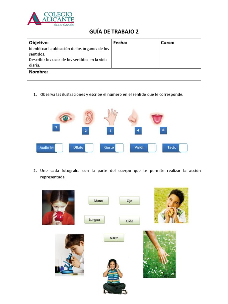 Guía 2 | PDF | Relaciones personales, crianza y desarrollo personal