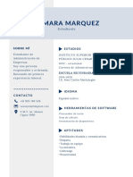 CV Actualizado