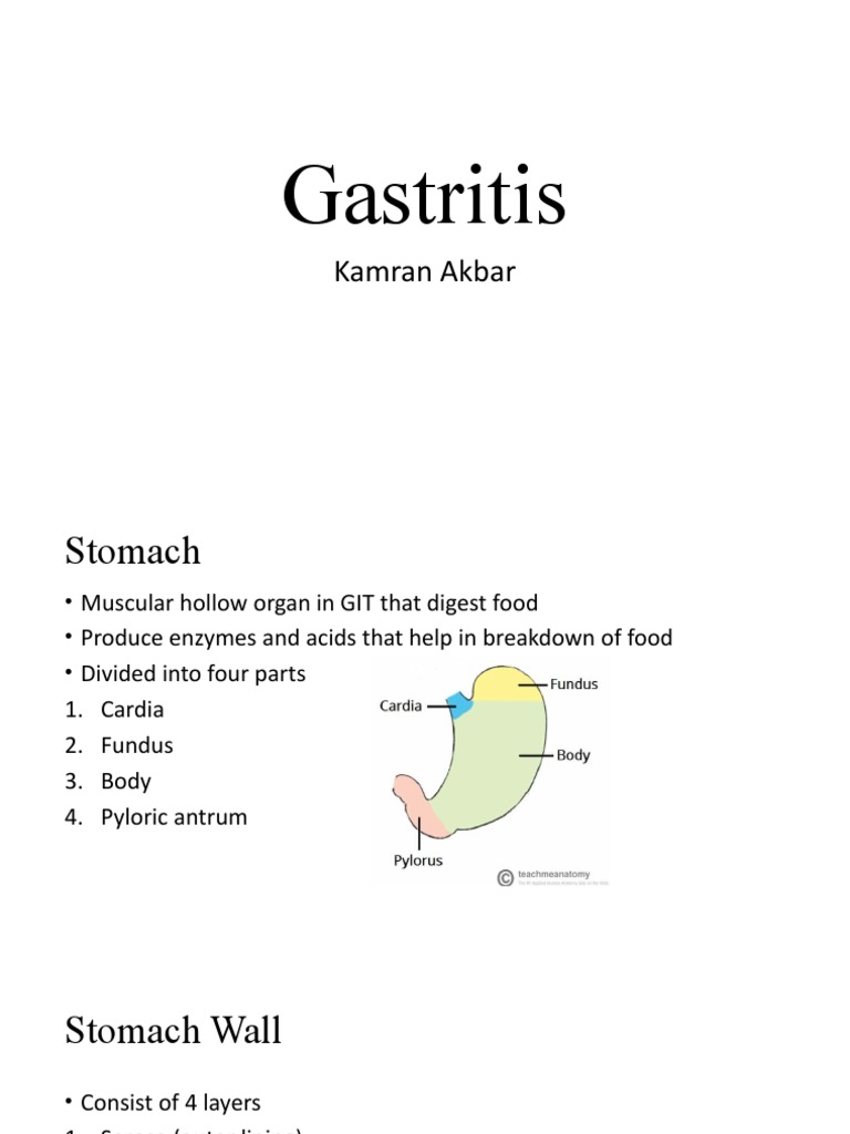 Gastritis | PDF | Stomach | Anatomy