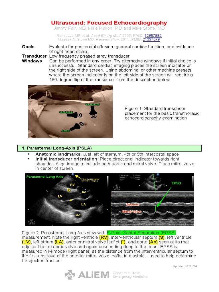 Ultrasound Echocardiography | PDF | Heart Valve | Ventricle (Heart)
