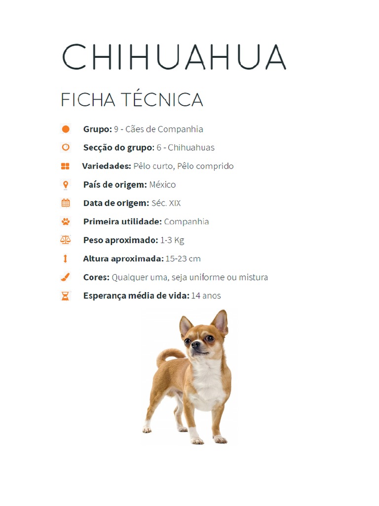 Ficha Técnica da Raça Chihuahua | PDF | México | Cães