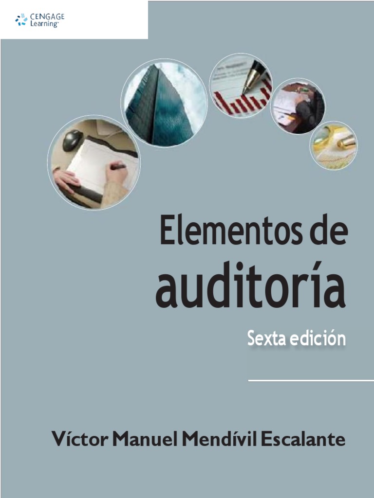 Elementos de Auditoría (Victor Manuel Mendivil Escalante) | PDF ...
