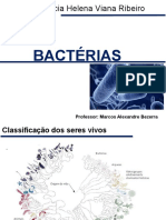 Classificação e estrutura de bactérias