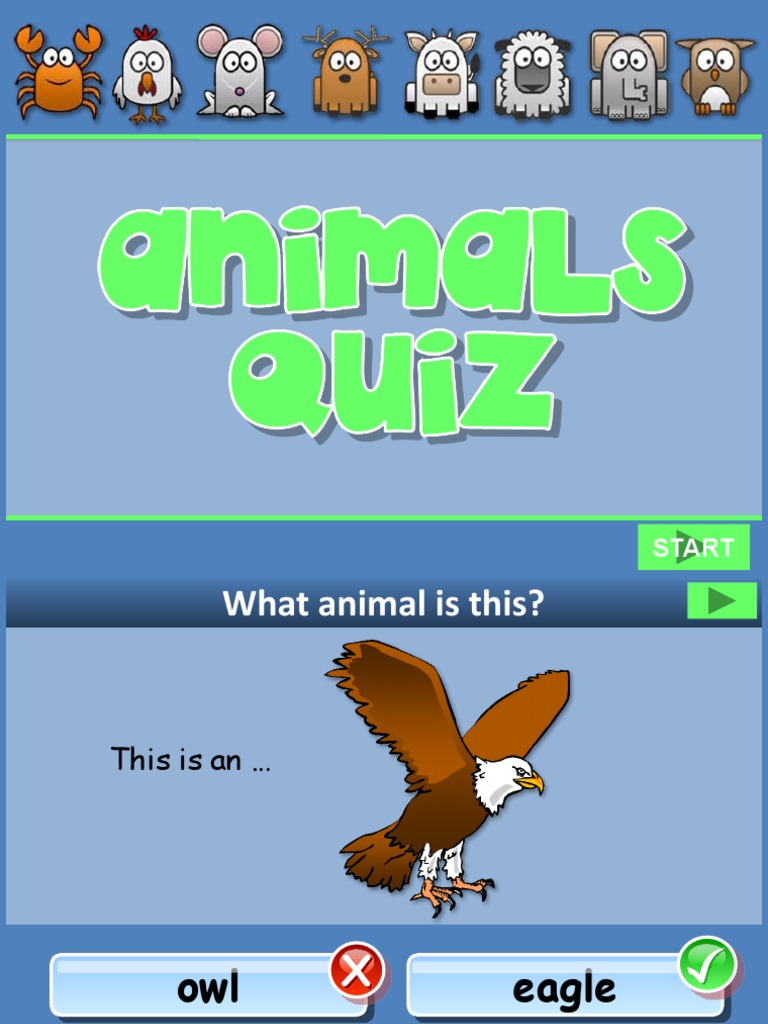 Animal Quiz PPT Fun Activities Games Games 54875 PDF
