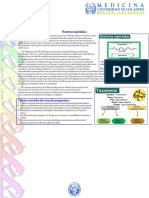 Tema 18. Bacterias Espiraladas (Espiroquetas)