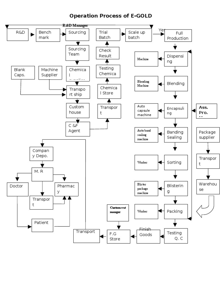E-GOLD Operation Process Overview | PDF