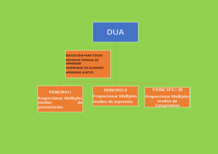 Principios del DUA en Educación Infantil | PDF
