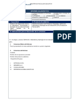 Informe de Avance Del Producto Integrador