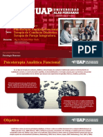 Problemas de Cond. y Comp. - 13. Psicoterapia Analítica Funcional