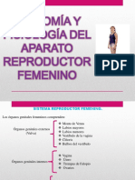 Sistema reproductor femenino