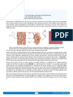 13.09 Smooth Muscle