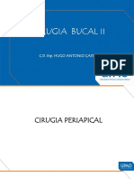 Cirugía bucal periapical: etiología, diagnóstico y tratamiento