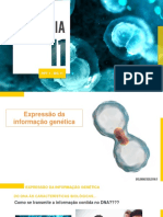PPT01A-B5-Síntese_proteica