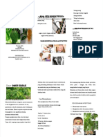 PDF Leaflet Hipertensi Sri Muhana Compress