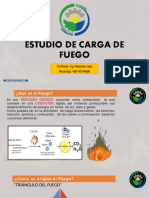 ESTUDIO DE CARGA DE FUEGO_5_11-21