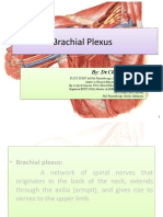 Lecture No. 1 Brachial Plexus by DR Chaman Lal PT