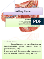 Lecture No.2 Axillary Nerve by DR Chaman Lal PT