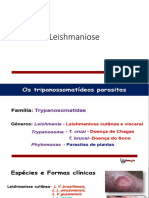 Leishmaniose