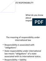 State Responsibility