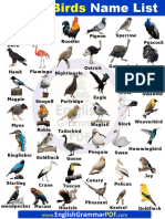 A To Z Birds Names List in English With Pictures PDF