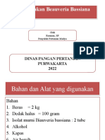 Cara Perbanyakan Jamur Patogen Beauveria Bassiana Untuk Pengendalian Hama