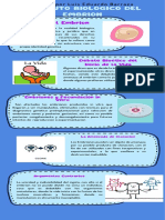 Estatuto Biologico Del Embrion