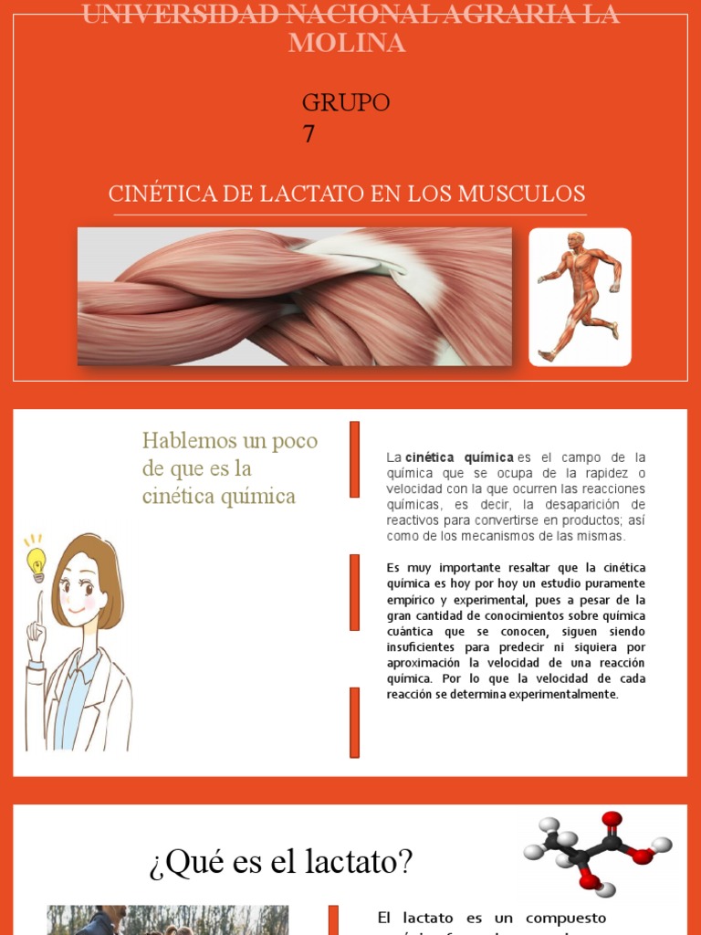Ácido Láctico En Los Músculos » ¿Cómo Evitar Su Acumulación? – TLEZAV