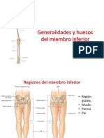 Anatomía 3 Parcial