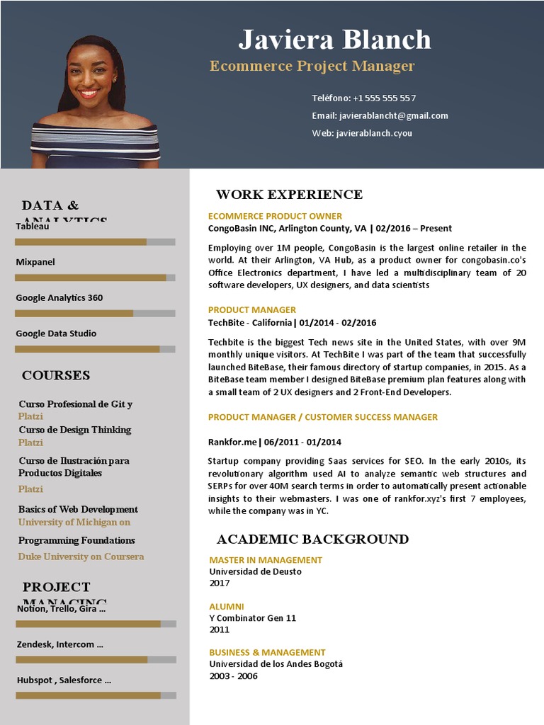 Free CV Template 15 | PDF | Information Technology | Cyberspace