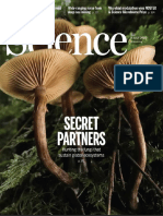 TOM WOOD Curb Chain M -20.5 シルバー Science - November 21 2014 | PDF | Avian Influenza