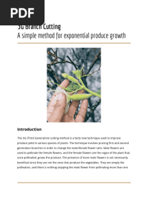 3G Cutting Technique 2
