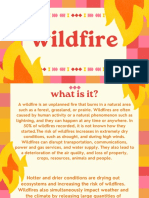 Presentacion de Wildfire Ingles