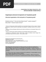 descrição morfologica do taquizoito