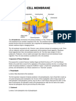 Cell Membrane